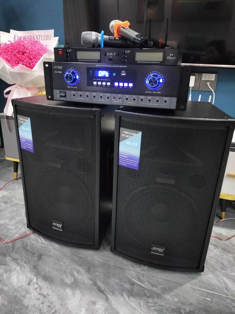 12寸音響套裝選購指南 從家用K歌到專業舞臺的音響器材全解析